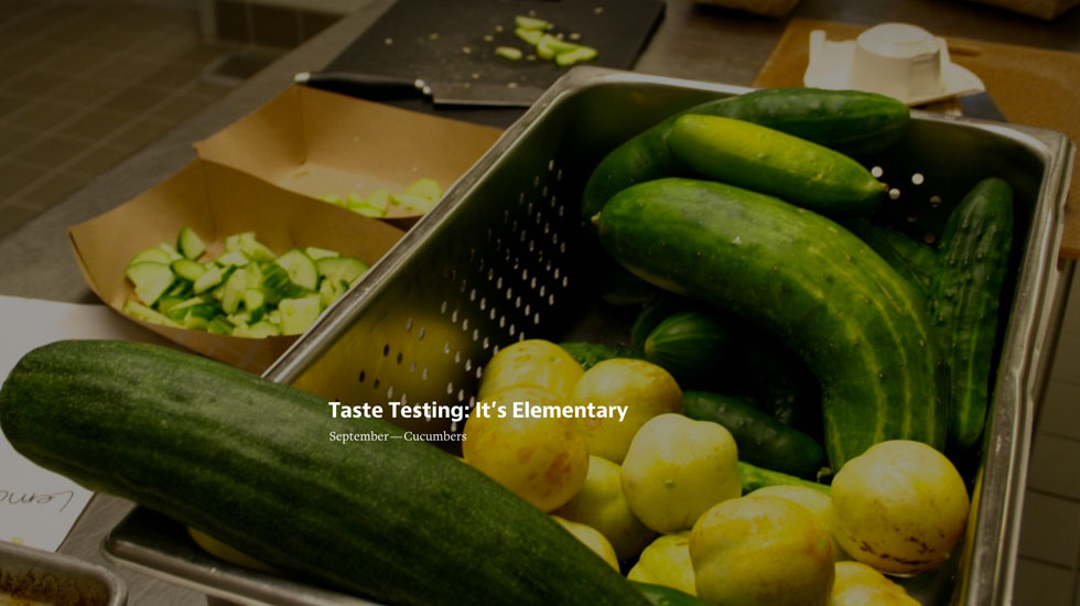 Taste-Test-Sept-2014-Hadley