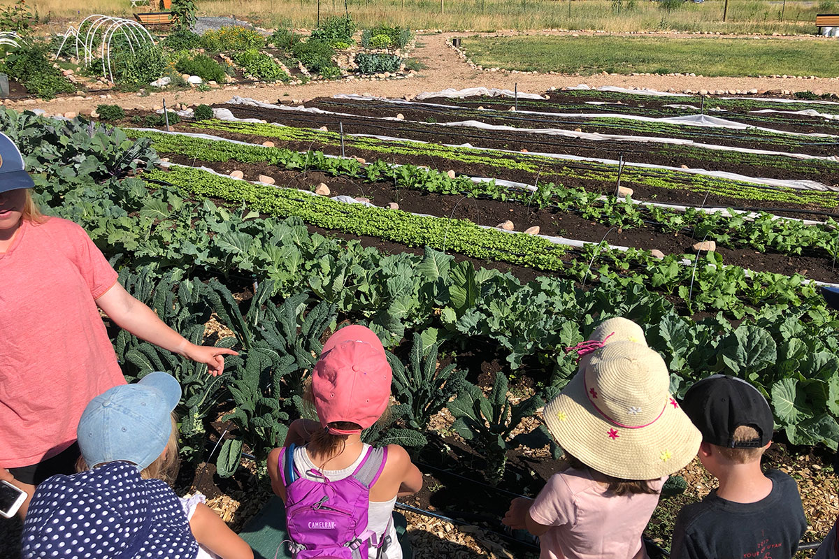 Earth & Food in the Garden Camp