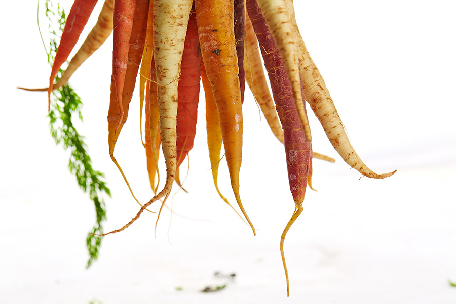 EATS' Family Cooking Class: Carrots Around the World