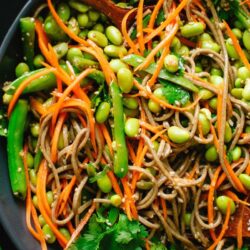 Soba Noodles with Carrots and Snap Peas - EATS Park City - OMAD