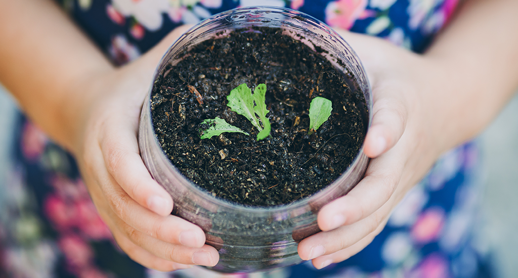 grow your food ways to be sustainable shop local